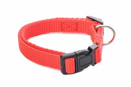 Ошейник Редпл. капрон. 15 мм 40 см 411015красн