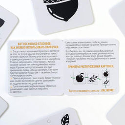 Чёрно-белые картинки для новорожденных Снежные мотивы, 40 картинок, 0+ - Лас играс фото 8