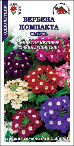 Вербена Компакта (смесь) 0,1г (Золотая сотка Алтая)