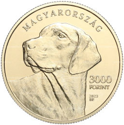 3000 форинтов 2023 года Венгрия Трансильванская гончая