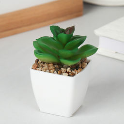 Цветочная композиция Кактус / WER-19 /уп 12/192/ микс - Галеонтрейд фото 20