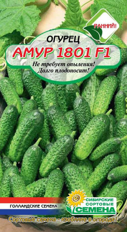 Амур 1801 F1 огурец парт 5 шт (ссс) Р