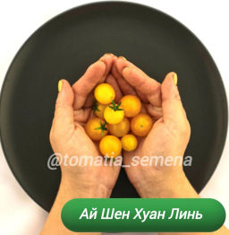 Ай Шен Хуан Линь