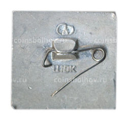 Значок Суздаль