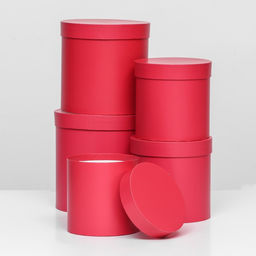 Набор шляпных коробок 5 в1 Viva Magenta Panton, 20 20 2014 14 х 14 см - Simaland фото 2