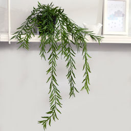 Бонсай «Ива пурпурная», растение 50 см (горшок h-8, d=8.5 см), МИКС