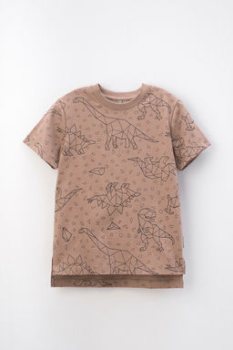 КР 302160/холодный какао,динозавры к402, фуфайка