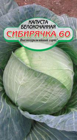 Сибирячка б/к капуста 0,5г среднеспелая (ссс) Р