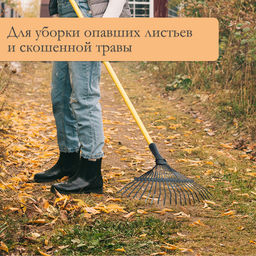Грабли веерные, пластинчатые, 20 зубцов, металл, без черенка, тулейка 30 мм - Simaland фото 4