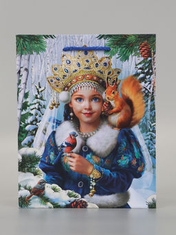 Цена за 2 шт. Пакет подарочный «Снегурочка», 18×10×22.3 см