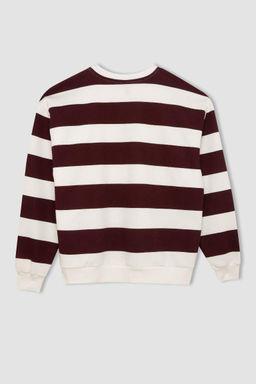 Повседневный свитшот из плотной ткани в полоску с круглым вырезом Relax Fit - Defacto фото 3