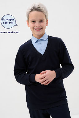 Обманка школа длинный рукав