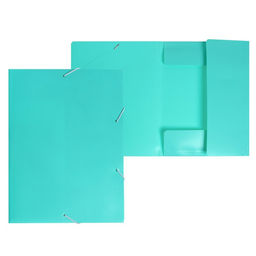 Цена за 2 шт. Папка на резинке А4, 500 мкм, Calligrata, Pastel, корешок 20 мм, до 150 листов, тиснение "песок", мятный