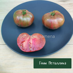 Гном Металлика - Tomatia фото 2