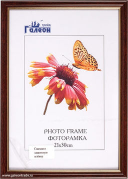 Фоторамка 21х30 с акриловым стеклом / 1503B-703A1 /уп10