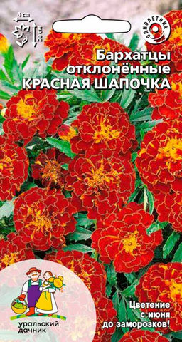 Бархатцы КРАСНАЯ ШАПОЧКА