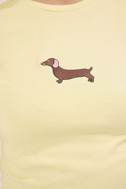 Trendyolmilla Antrasit Fitted/Vucuda Oturan Civciv Nak?sl? K?sa Kollu Esnek Orme Bluz TWOSS25BZ00462 фото 3