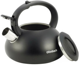 Чайник 2,5л из нержавеющей стали со свистком и ручкой из нейлона (100302) - Kamille фото 7