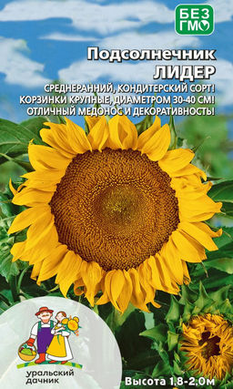 Подсолнечник ЛИДЕР Среднеранний, кондитерский сорт! Корзинки крупные, диаметром 30-40 см! Отличный медонос и декоративность!