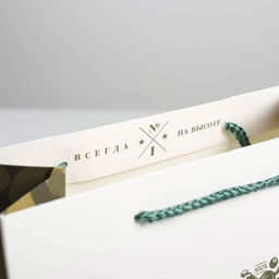 Цена за 2 шт. Пакет подарочный ламинированный, упаковка, 23 февраля, ML 23?27?11.5 см