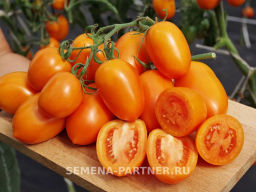 Томат Шурим - Партнер фото 5