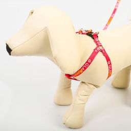 Комплект GlaМууур, шлейка 26-39 см, поводок 120х1 см - Пушистое счастье фото 4