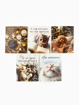 Набор мини-открыток в коробке со скрепками «Котики», 35 штук, 8 x 10 см