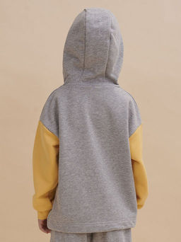 PELICAN, толстовка для мальчиков, Серый  фото 3