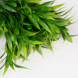 Цена за 2 шт. Зелень искусственная Бамбук 38 см / 149NA-114 /уп 2/150/500/ - Галеонтрейд фото 5