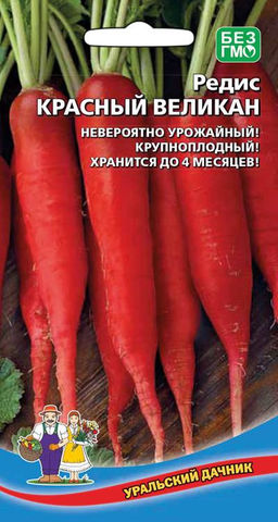 Редис КРАСНЫЙ ВЕЛИКАН  невероятно урожайный! Крупноплодный! Хранится до 4 месяцев!