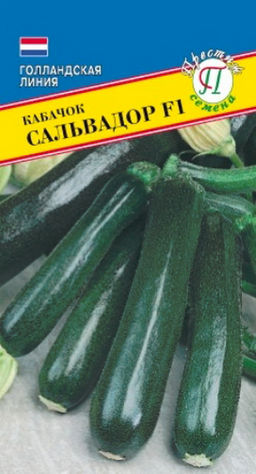 Кабачок Сальвадор F1 5шт. (Голландия) (Престиж)