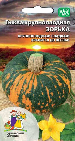 Тыква ЗОРЬКА  Мякоть сладкая, плотная, нежная! Яркая, пёстрая окраска! Каротина больше чем в моркови, хранится до весны!