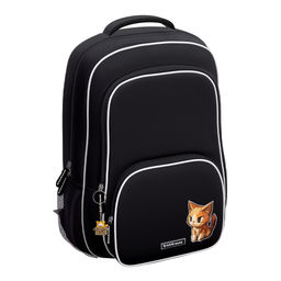 Цена за 1 шт. Ученический рюкзак ErichKrause ErgoLine® 20L CatPix