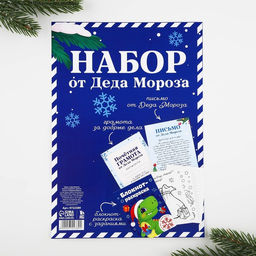 Подарочный набор новогодний, письмо от Деда Мороза, блокнот-раскраска, грамота Дино