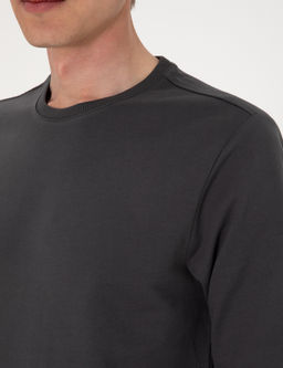 Antrasit 2 _plik Regular Fit Bisiklet Yaka Basic Sweatshirt - Pierre cardin фото 7