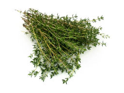 Тимьян Радужный - Партнер фото 2