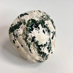 Морской Гребешок из Агата мохового - Радуга самоцветов фото 4
