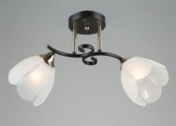 Люстра Эконом ES-001508-2CF