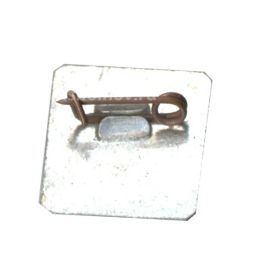 Значок В.И.Ленин