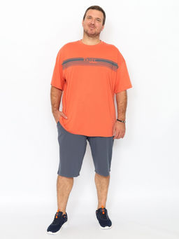 CRB wear/CWLM 60325-29 Футболка мужская,терракотовый/Ex.Cherubino  фото 2