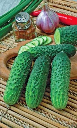 Огурец АРЛЕКИНО F1 Устойчив к болезням! Стабильно высокая урожайность! Плодоносит до заморозков! Не горчит!