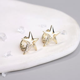 Серьги Арт. 18-1348-Y