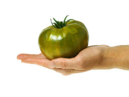 Томат Зеленая Тайна Личинки - Партнер фото 7