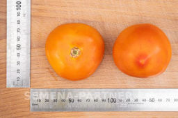 Томат Золотая Миля - Партнер фото 4