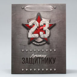 Цена за 2 шт. Пакет подарочный ламинированный, упаковка, «С 23 февраля», ML 23×27×11.5 см
