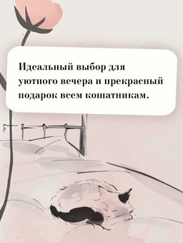 Хроники странствующего кота. Арикава Х. - Азбука фото 6