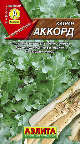 Катран (хрен) Аккорд (2026), 0,3 г