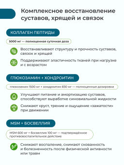 Флекс Актив Про