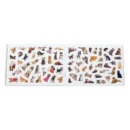 Наклейки детские «111 наклеек. Кошки и собаки», 12 стр.