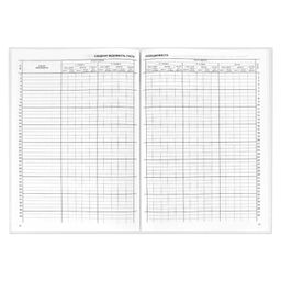 Классный журнал 1-4 класс арт. 5191 - Феникс+ фото 5